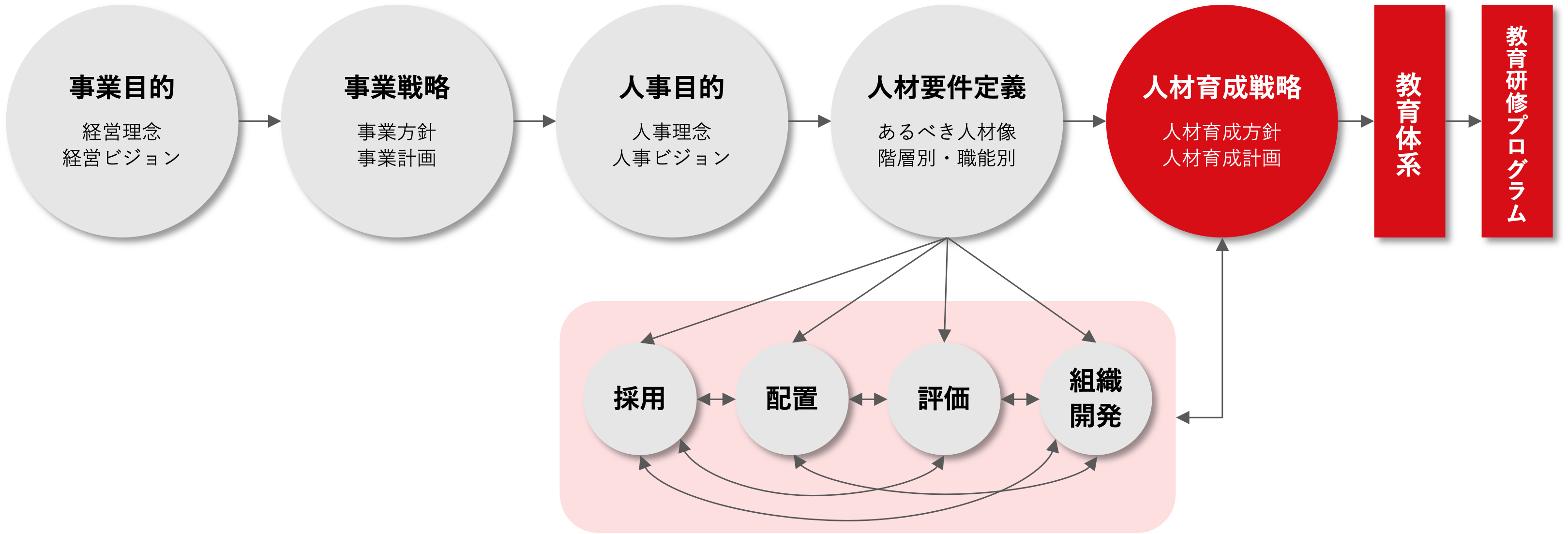 教育体系_モデル.png